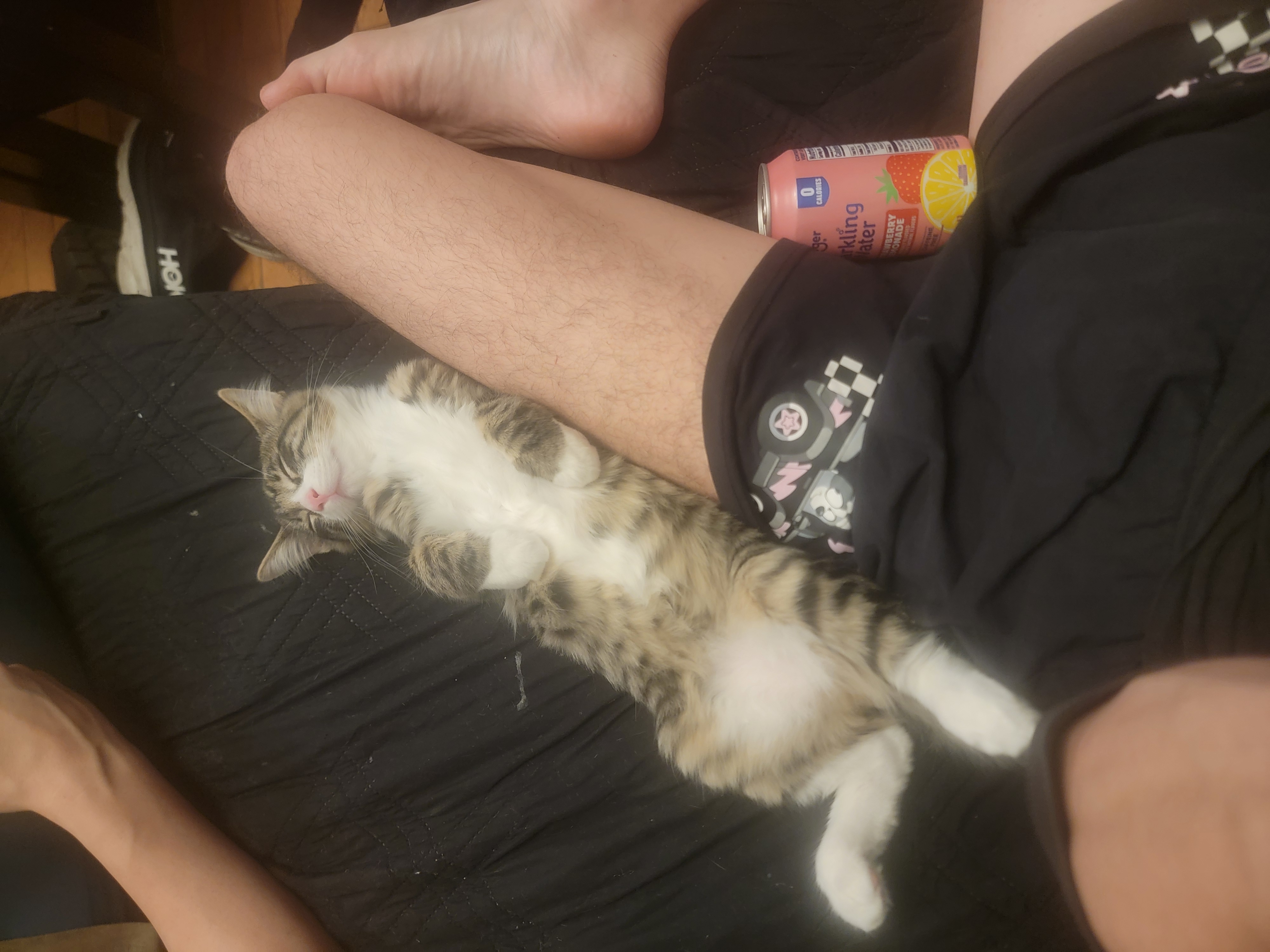 Bibble (aka Beepo)