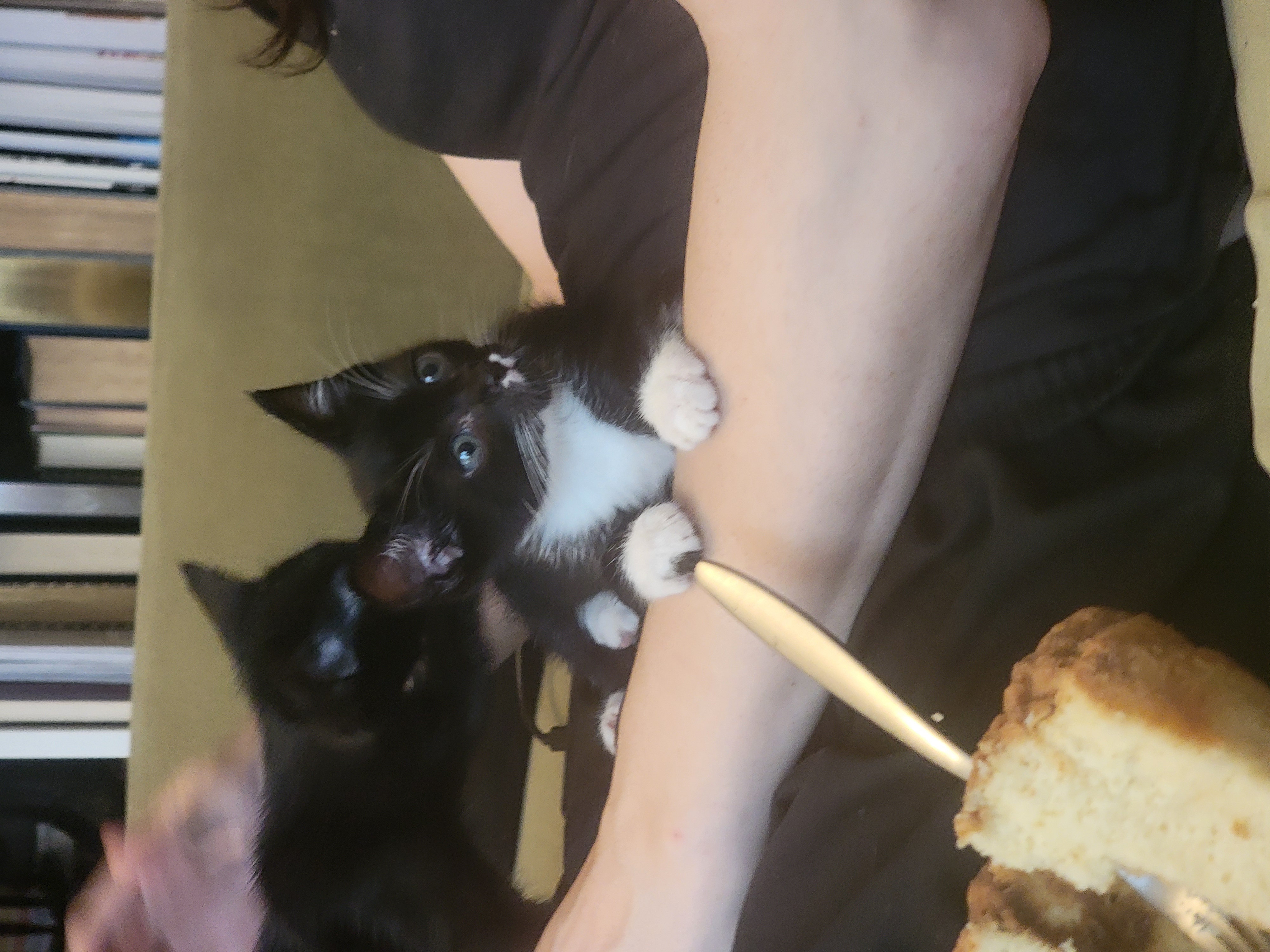 Tuxie